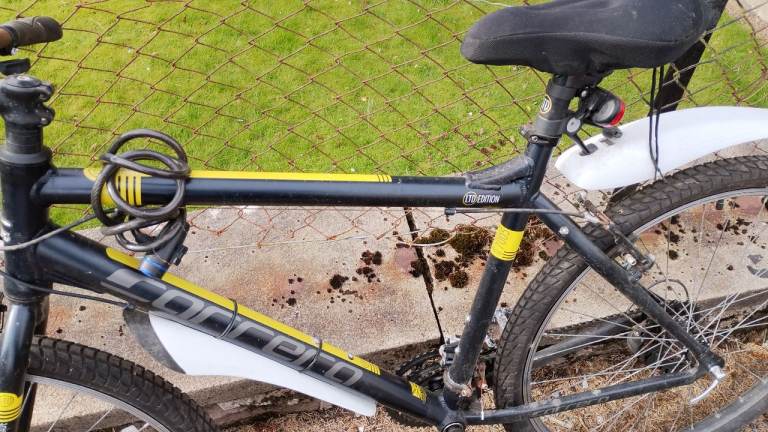 Mens Carrera ltd edition mountain bike 