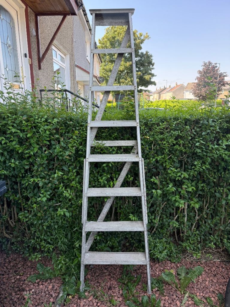 Ladders 