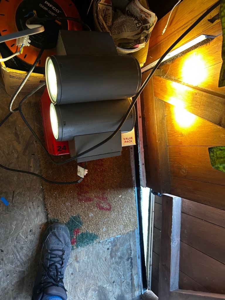 Dual Head Outdoor Security Light with LED Bulbs