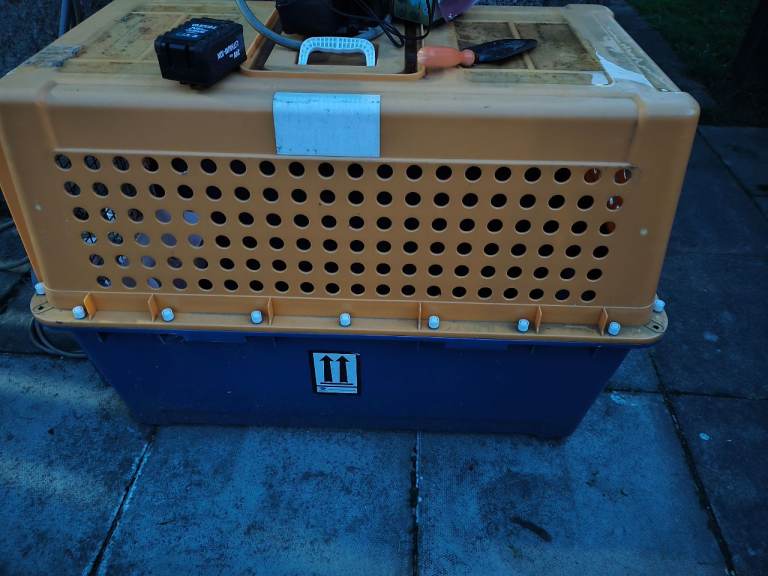 Pet Carrier for Air Travel