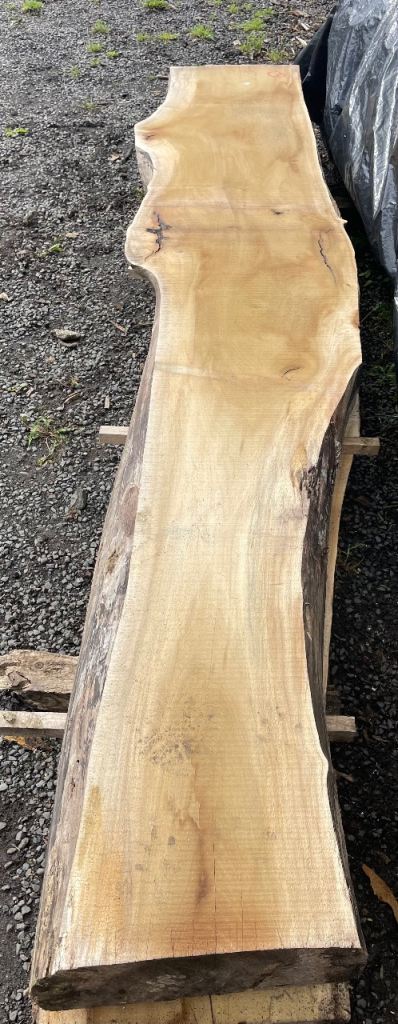 Tulip wood Mantle/Beam