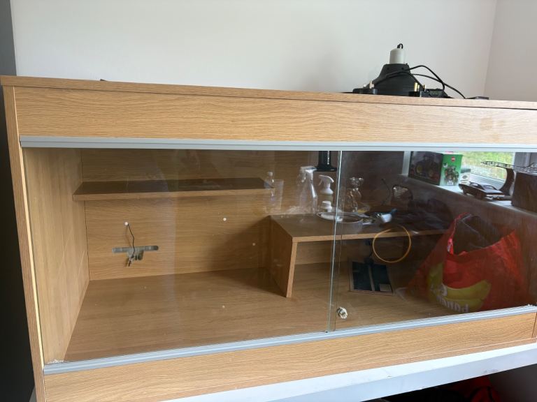 Bearded Dragon setup