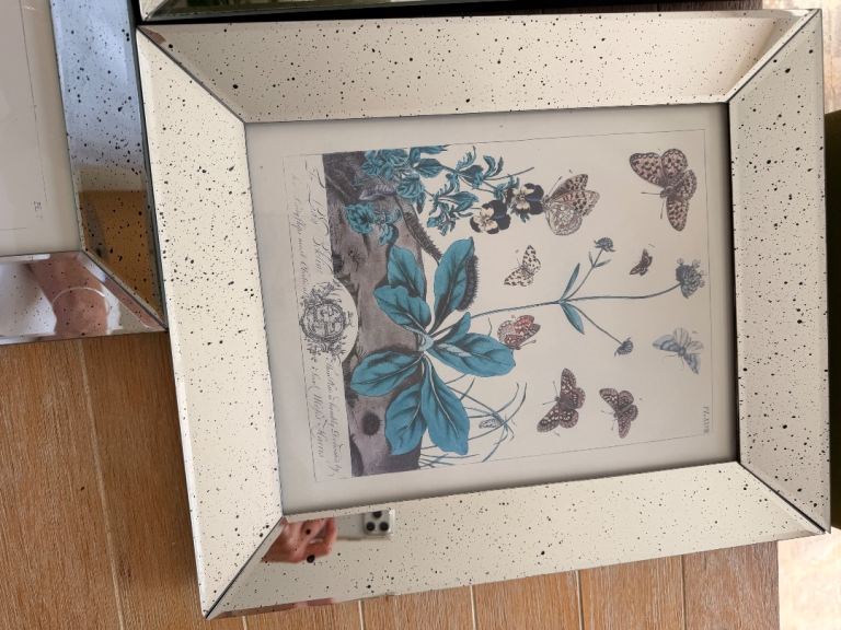 Set of 3 Mirrored Butterfly & Botanical Prints – Good Condition