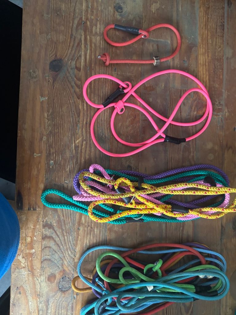 Slip leads 