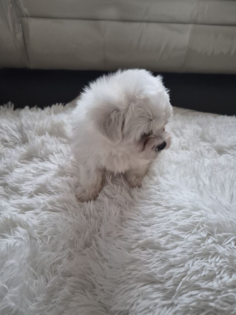 Beijan freeze ready.ready to leave 