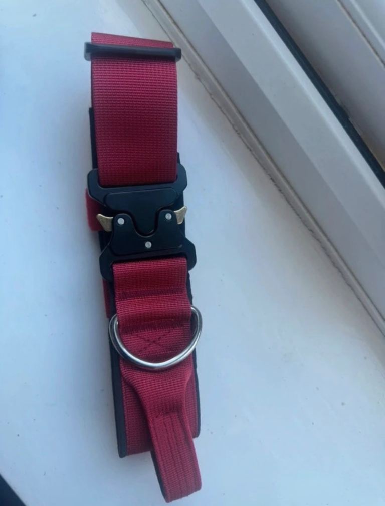 Tactical Dog collar