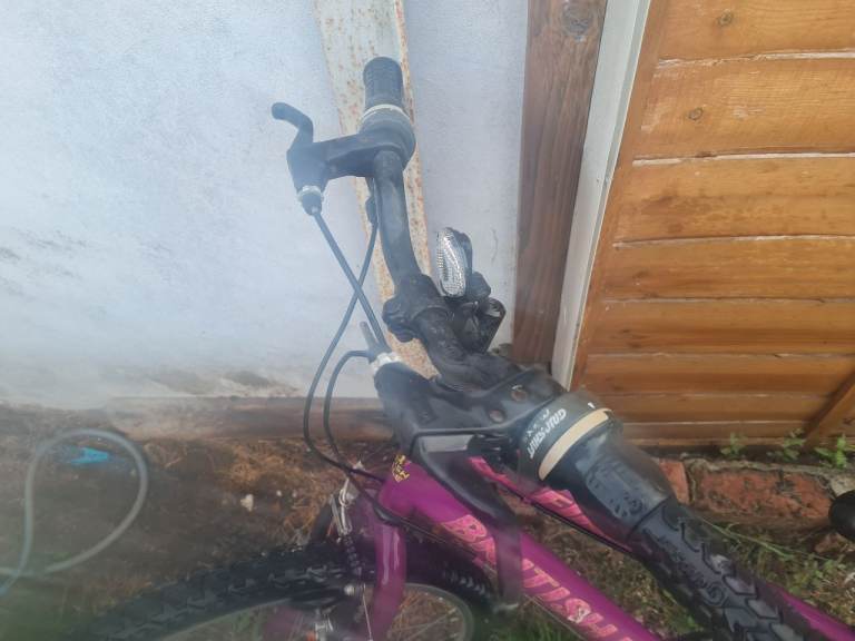 British Eagle Kids Mountain Bike – Purple