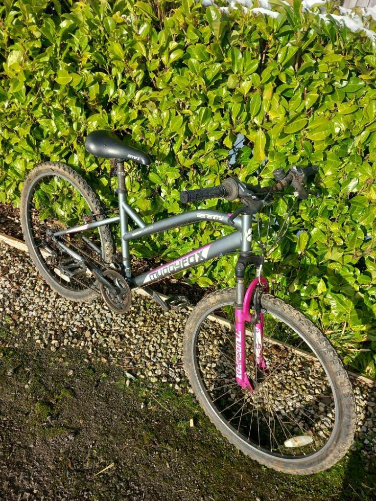 image for Muddy Fox bicycle