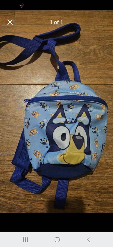 Bluey Kids Backpack with Harness – Good Condition
