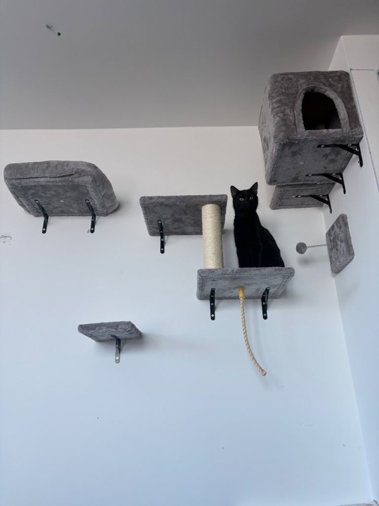 Cat wall post 