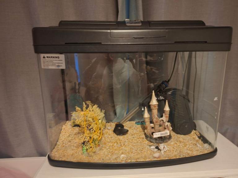 60 litre Fish Tank Aquarium with Filter and Decorations