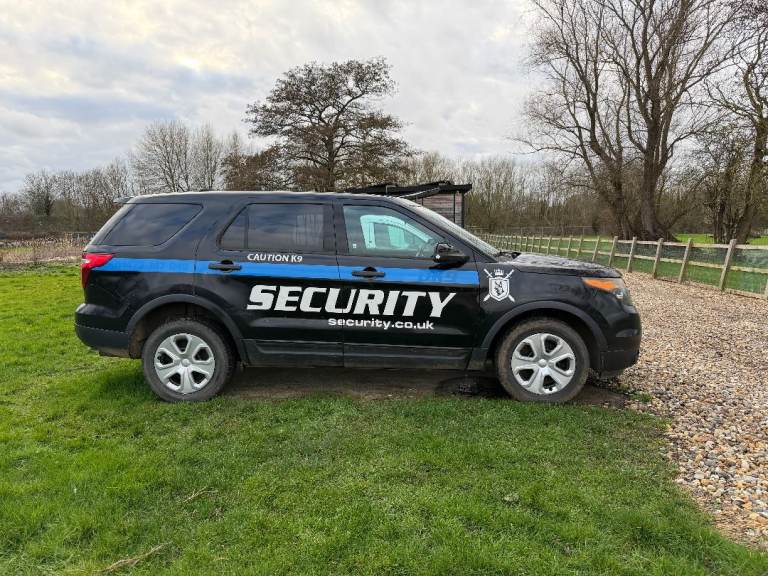 Ford Explorer American Import, 2013, 3700 (cc)