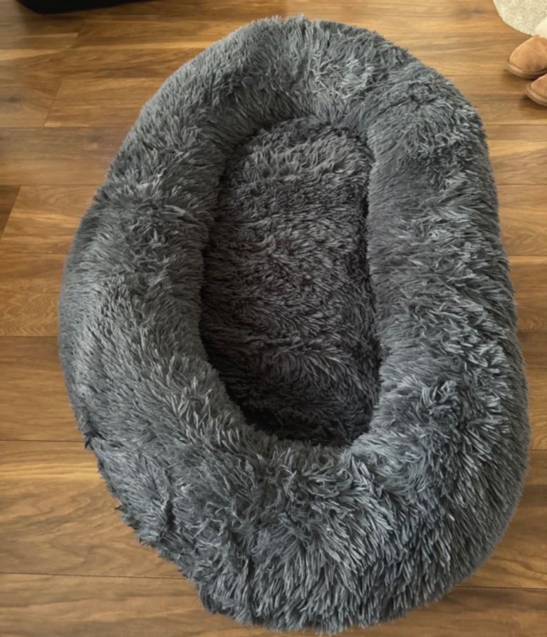 Human Dog Bed