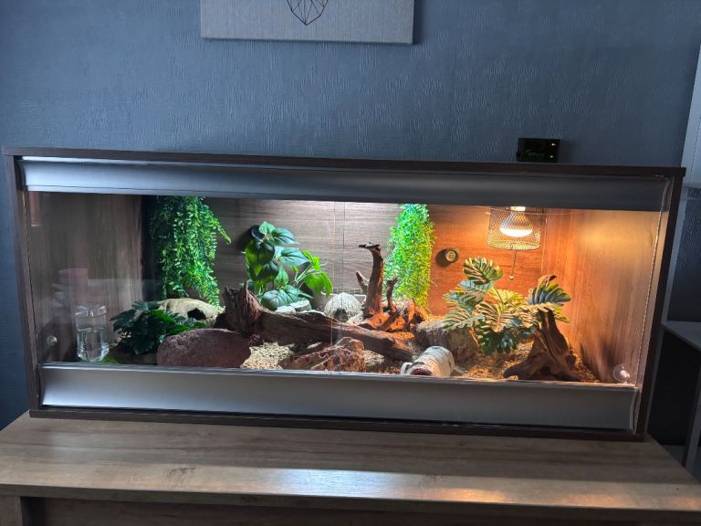 Vivarium 