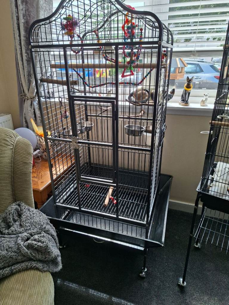 Large cage  ideal for big birds