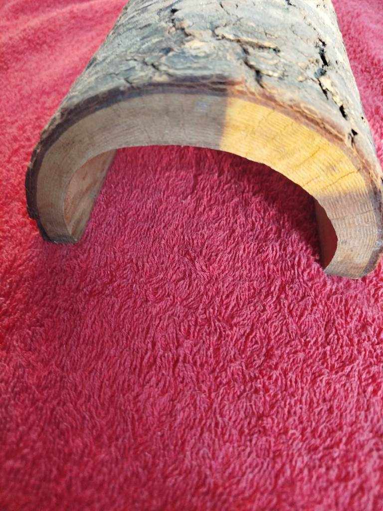 Reptile hide 