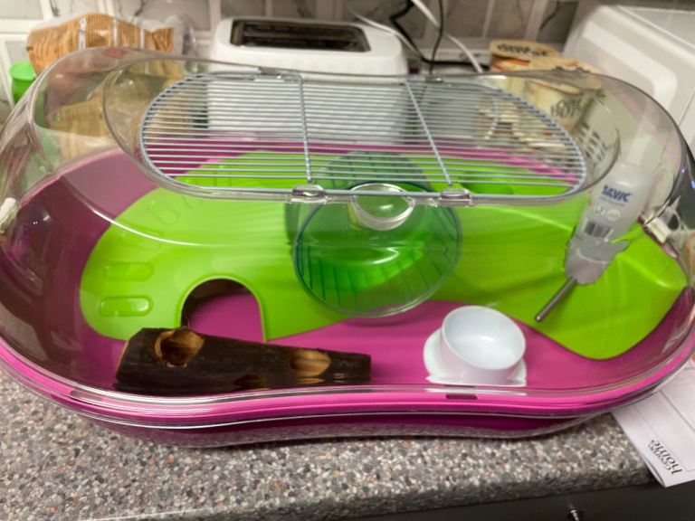 Hamster Cage and Accessories