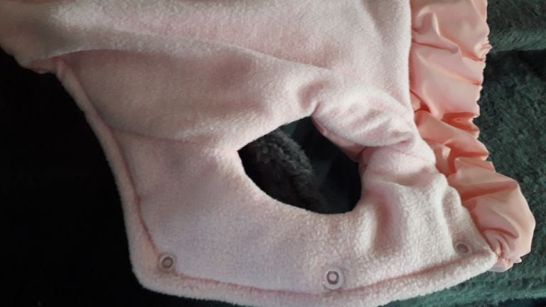 BRAND NEW BABY PINK PADDED DOG COAT WITH SNUGGLY LINING AND COMFORTABLE ELASTICATED LEG HOLES