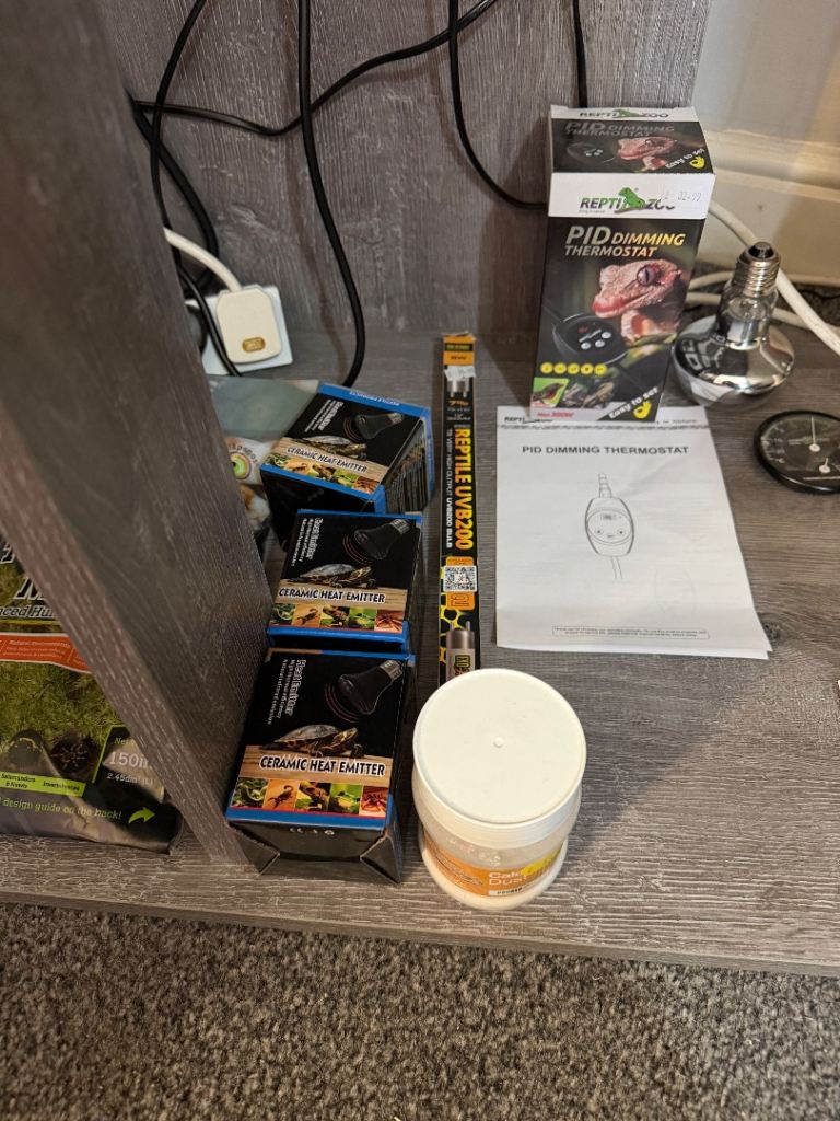 Albino leopard gecko full set up | in Ipswich, Suffolk | Gumtree