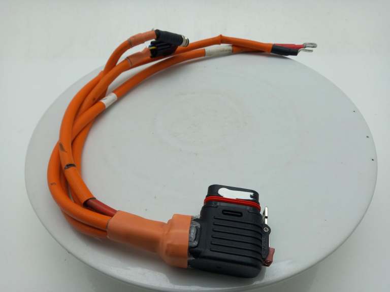 2009 Vertix Electric Wiring Harness Tal5001056000000