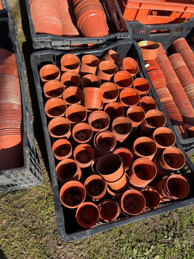 Selection of hundreds +++++ of various sized professional plant pots