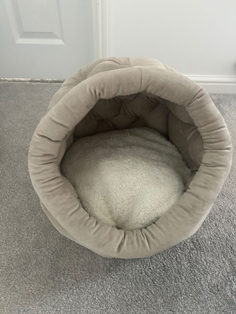 Cat bed