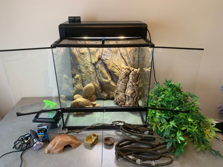 Large Vivarium - Complete Kit Lamps Accessories - Exo Terra 60x45x60cm