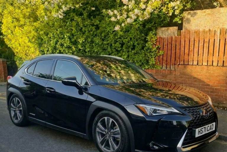 Lexus UX 300e 