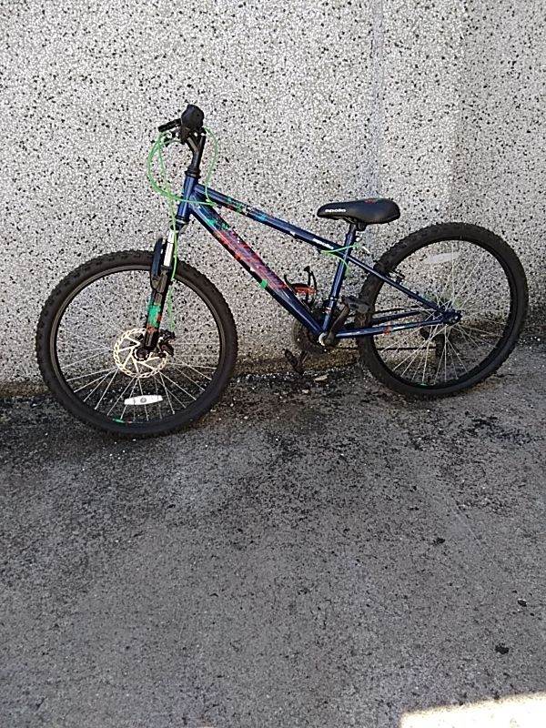 Apollo Boys Bike 24" Wheels 