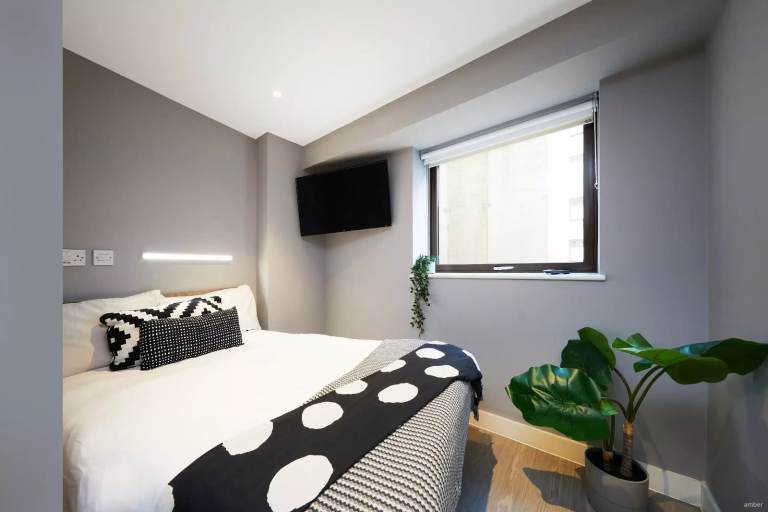 Room to rent at Nottingham