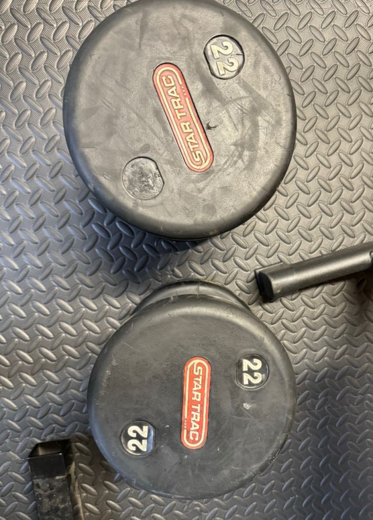 Pair of 22kg Dumbbells 
