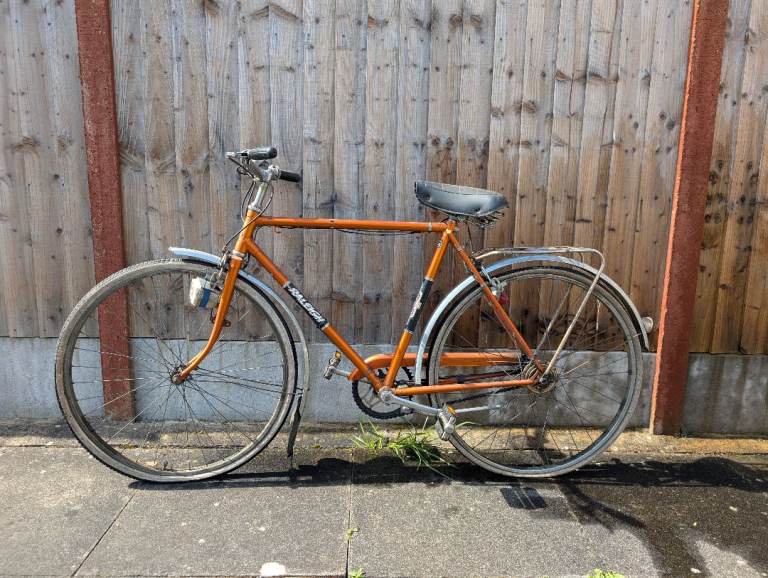 Vintage Bike (Raleigh)