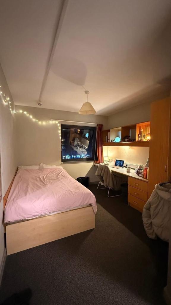 Need Full Time Student To Replace Tenancy!