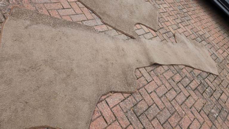 Caravan carpets