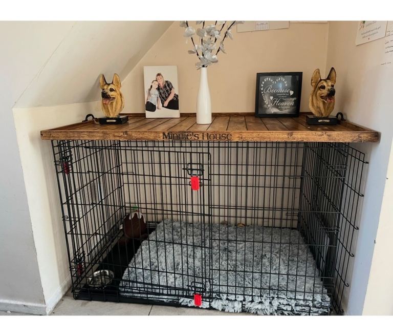 Dog create with topper 