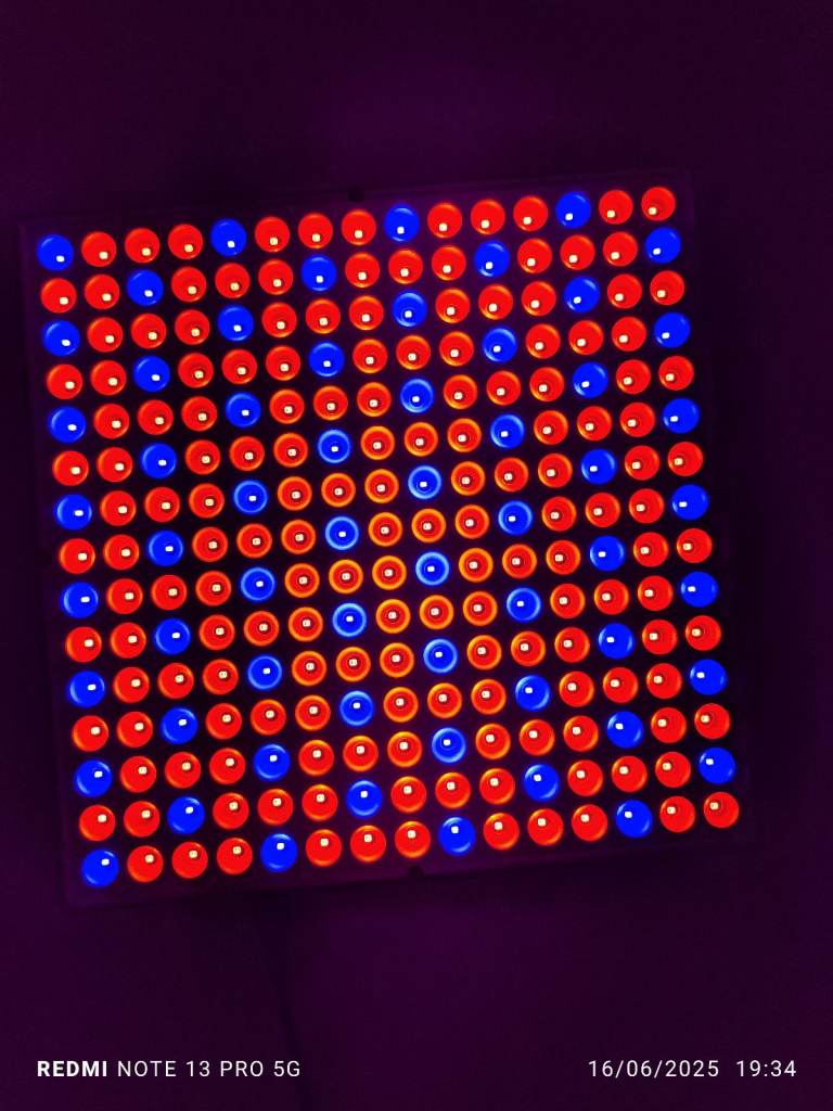 Brand New VitalGlow Red Light Therapy Lamp