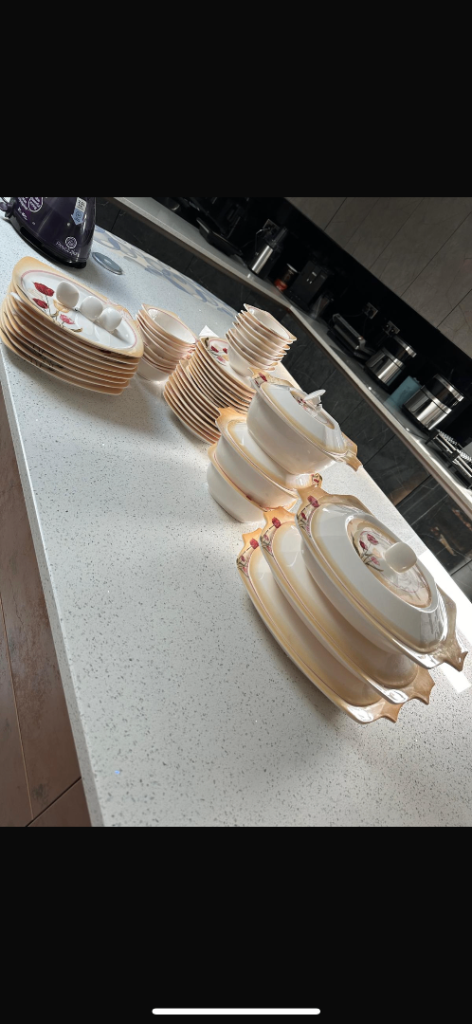 Extra large dinner Melamine Set  (hard durable plastic)