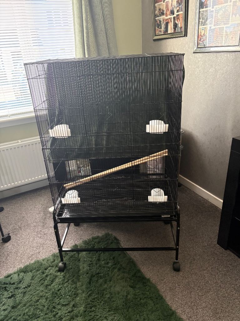 XL budgie cage