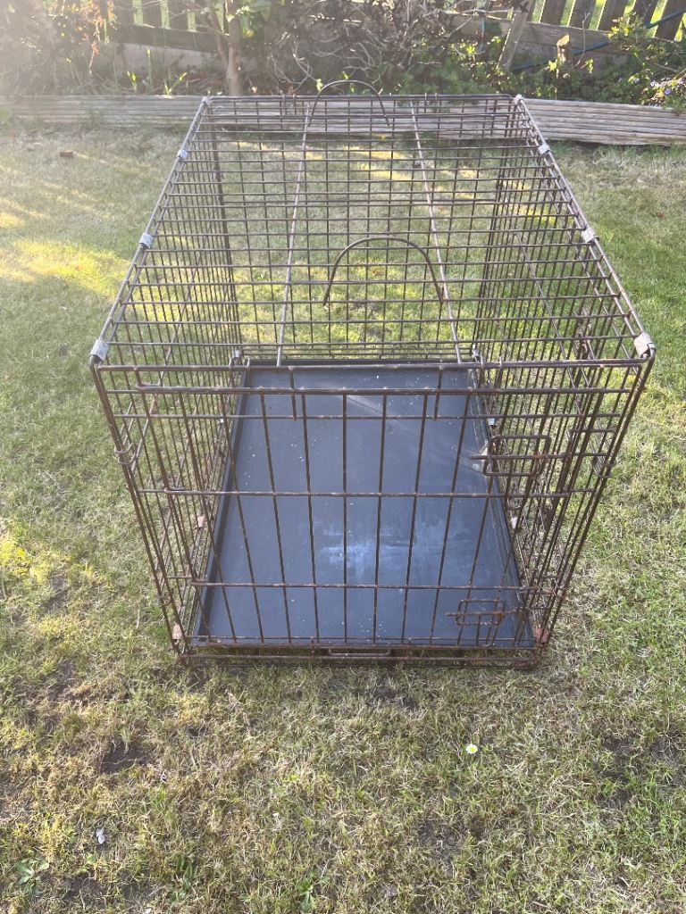 Large dog cage