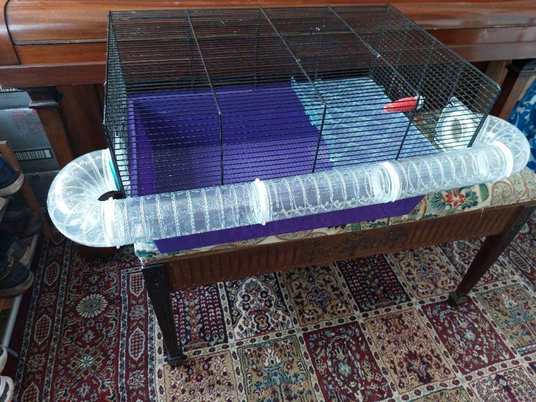 Hamster cage