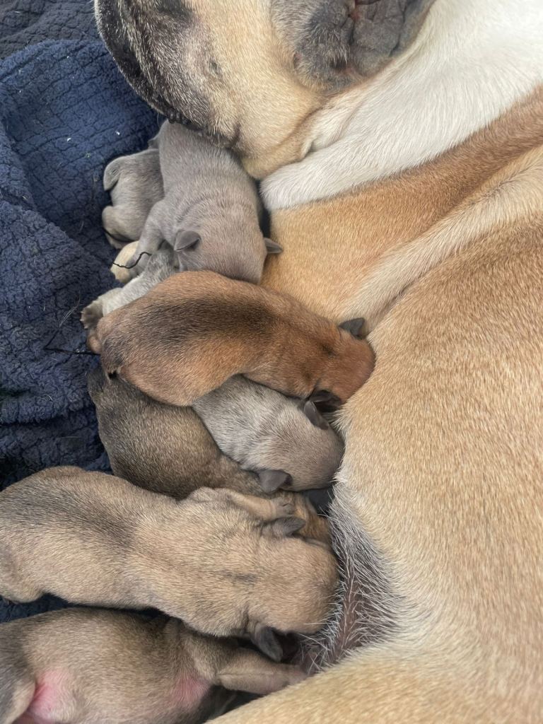 Ready now for there 4ever homes 