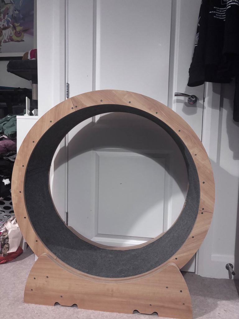 Cat exercise wheel