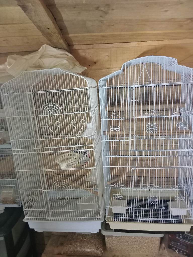 Bird cages