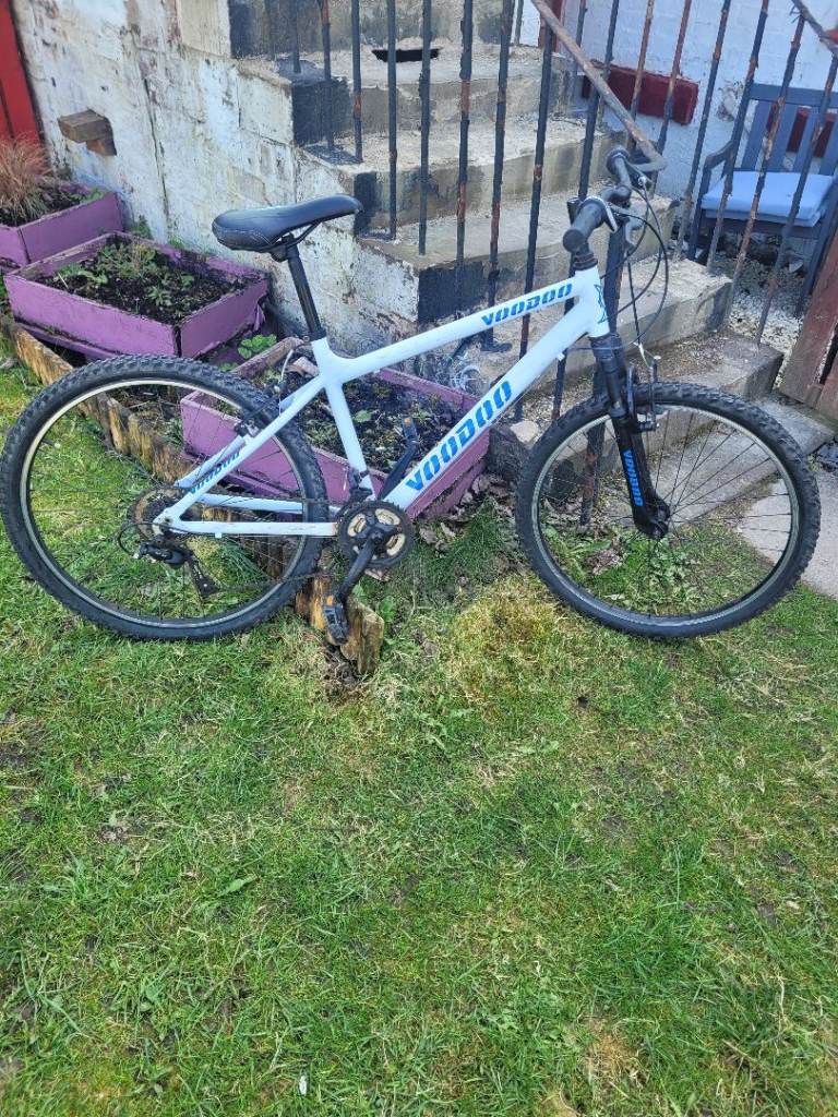 Looking for a pedal bike mens 