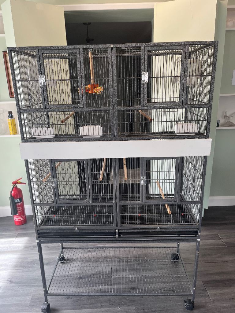 Large bird cage with shelf underneath 