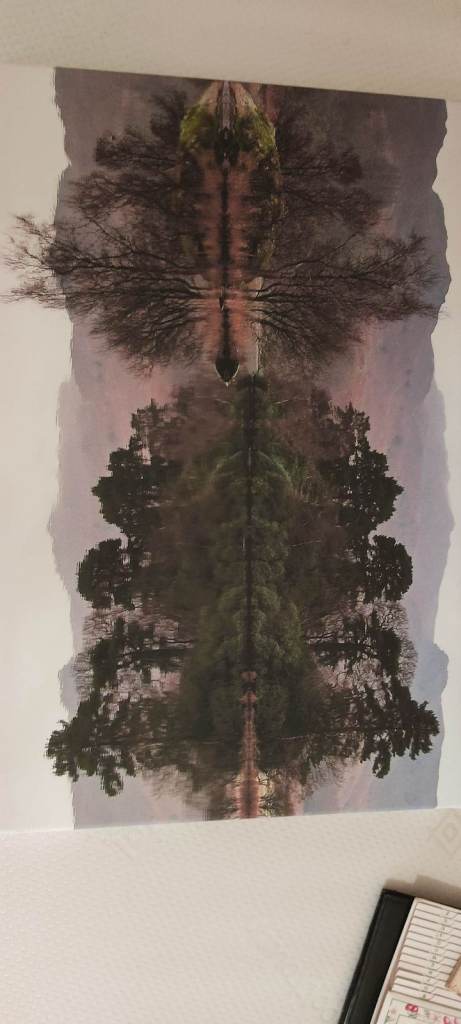 Martin Lawrence Rydal water Reflection ( Reduced)