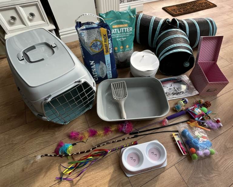 CAT / KITTEN ACCESORIES BUNDLE