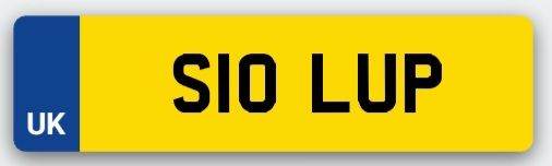 Private reg s10 lup