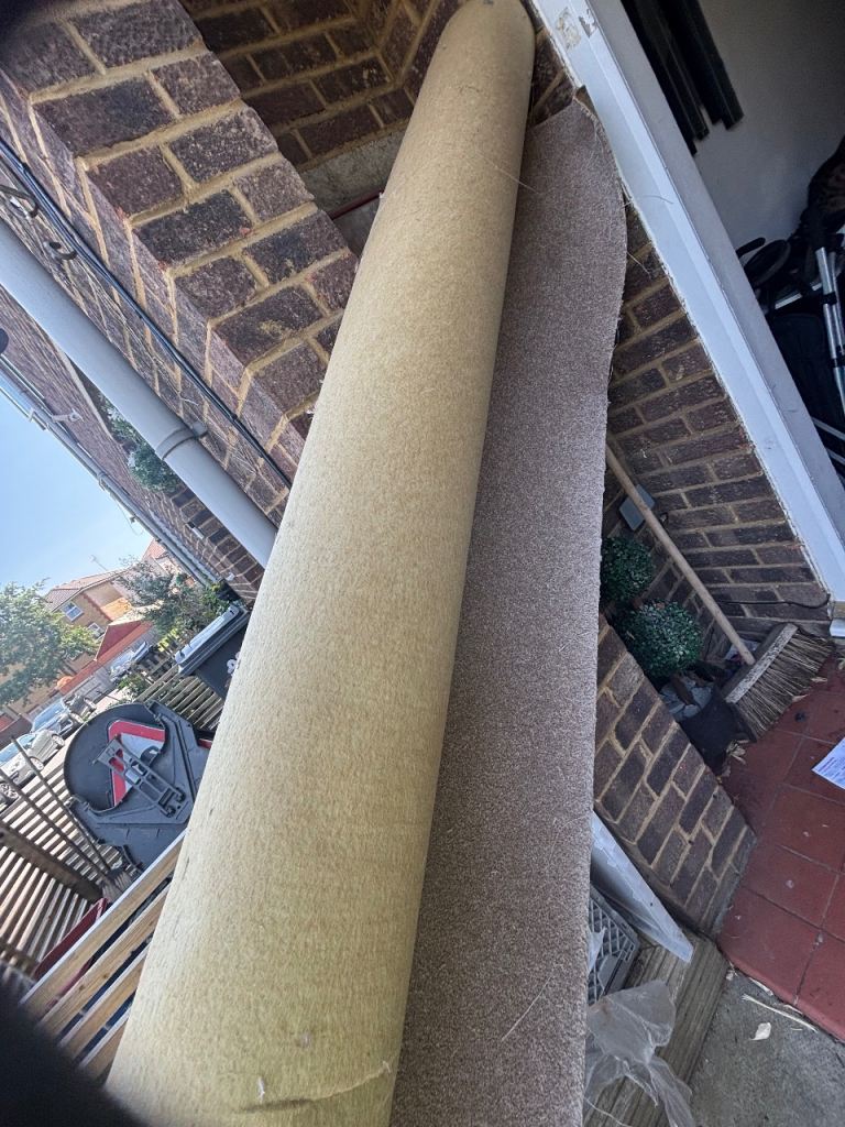 Oatmeal/ Beige Carpet 