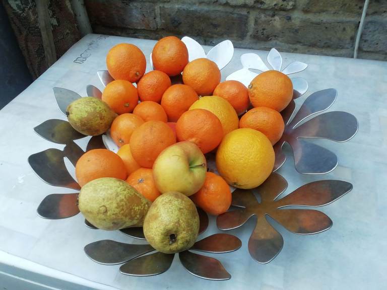 Stainless steel fruit bowl 